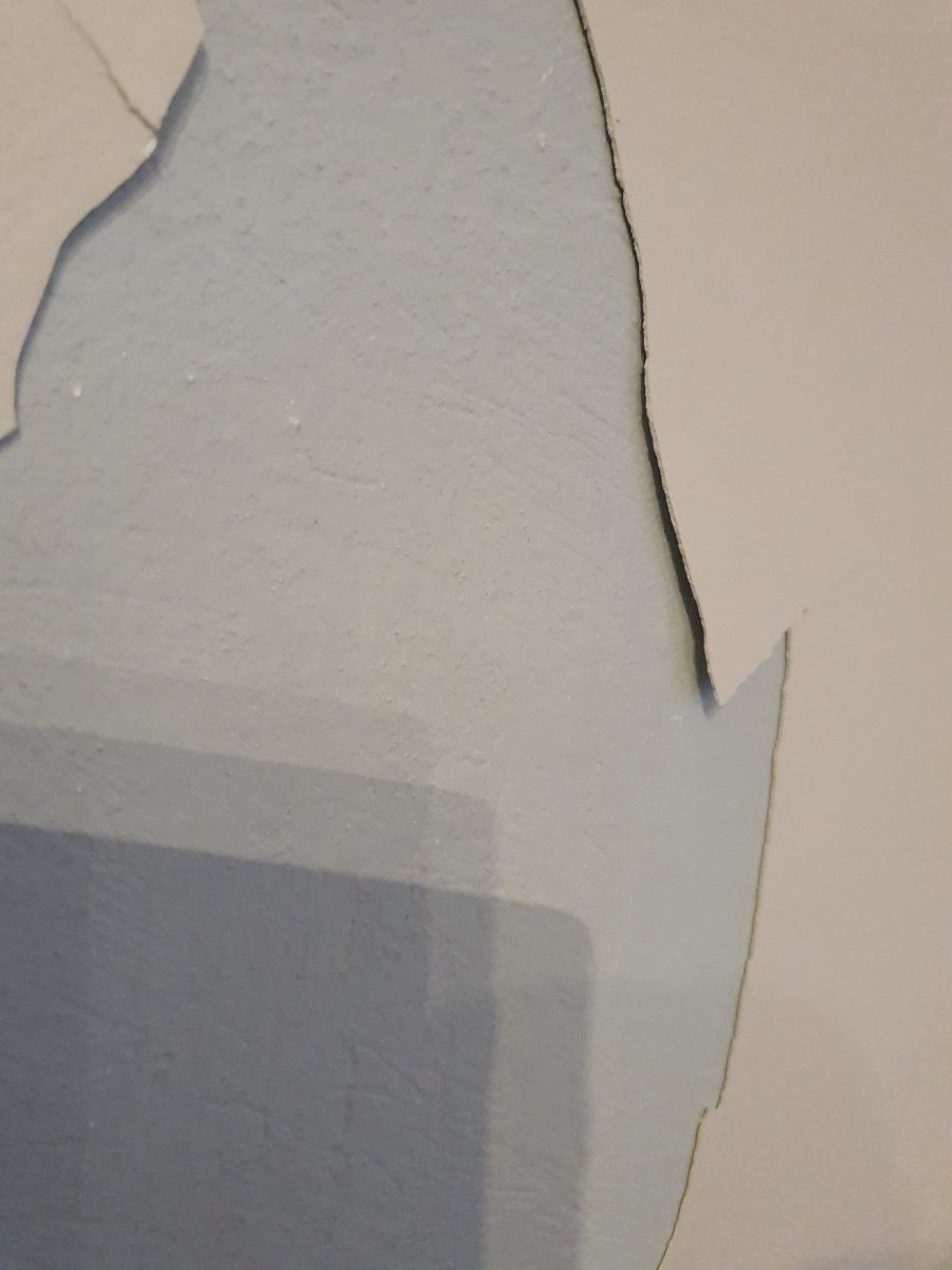 20230322_175904.jpg